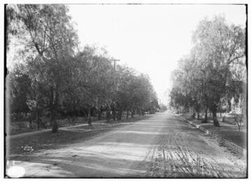 Southern California Views