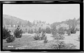 Kern River No. 3