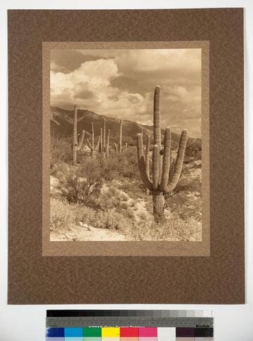 In the Heart of Apache Land, Southern Arizona