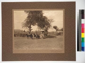 Santa Fe, New Mexico. Mexican cart engaged in transportation of hides between Embudo and the Rio Grande