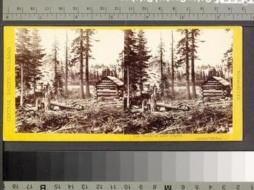 114. Scene at Lake Angela