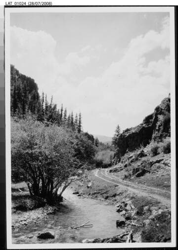 Dirt road near a stream at Vermejo Ranch