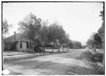 Southern California Views