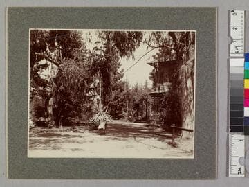 On the Channing place, Pasadena, Cal., Aug. 19th 1901