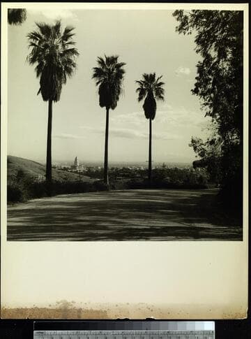 [View of Los Angeles]