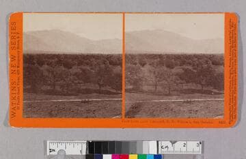 View from Lake Vineyard, B. D. Wilson's, San Gabriel