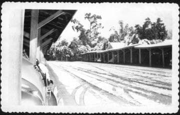 Covered parking at the San Marino Ranch after snowfall, February 1948