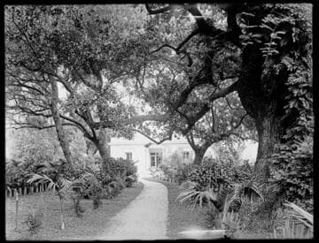 Path to an office building