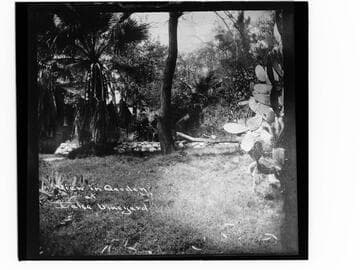 View in garden at Lake Vineyard