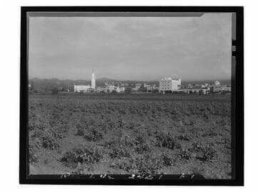 Panoramic view of early Westwood Village