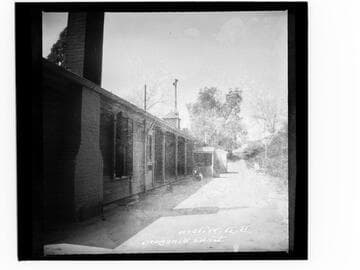 B.D. Wilson, Lake Vineyard