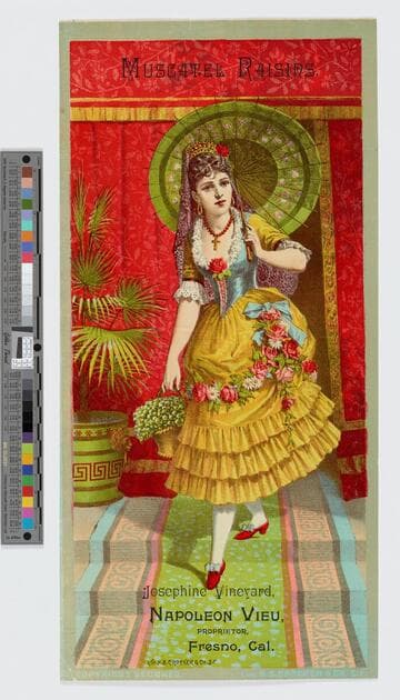 Muscatel raisins. Josephine vineyard, Napoleon Vieu, proprietor, Fresno, Cal