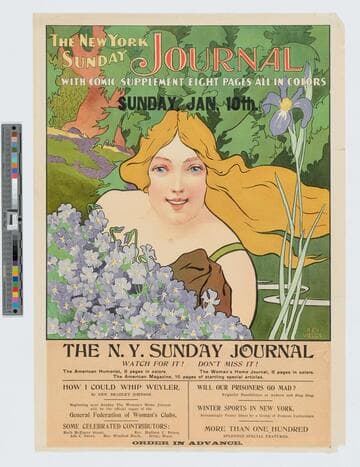 The New York Sunday Journal