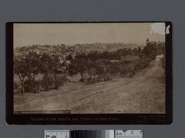 From Reservoir Hill, looking east