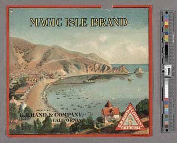 Magic Isle Brand
