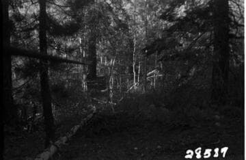 Big Creek, Fish Valley