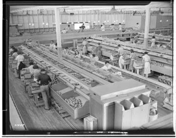 L1.8 - Lighting, Packing Plants - Santa Ana-Tustin Citrus Association