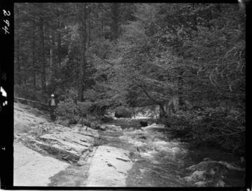 Big Creek - Mammoth Pool - General view of Daulton Creek diversion dike site