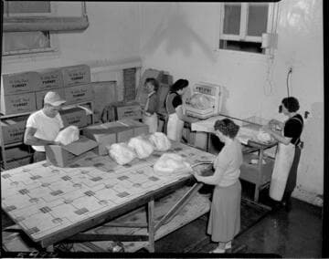 People boxing plucked turkeys