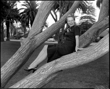 Young lady in a skirt and sweater posed sitting in a tree near the beach