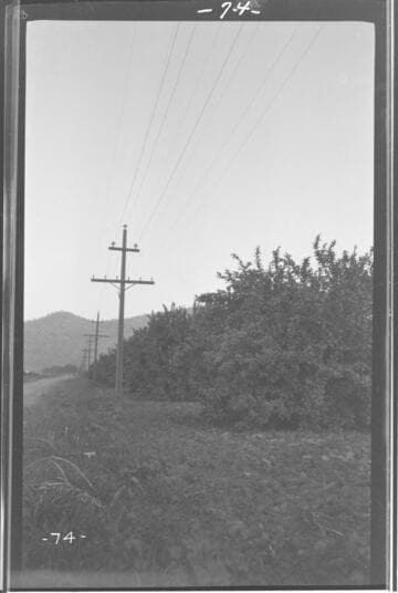A high transmission line near Lemon Cove