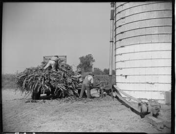 Dairy Booklet photos