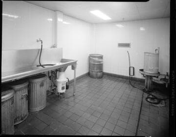 Large institutional cafeteria and kitchen facilities