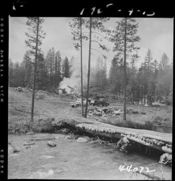 Big Creek, Vermilion Dam - First clearing