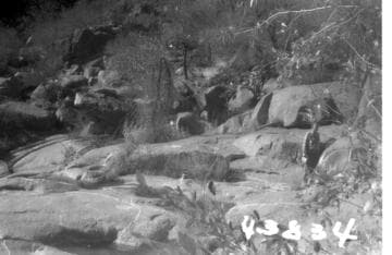 Big Creek, Mammoth Pool