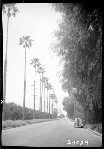 Miscellaneous Transmission