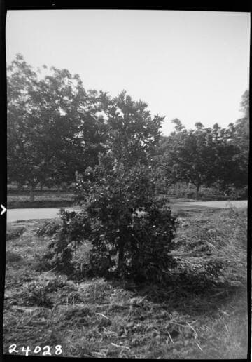 Miscellaneous Transmission