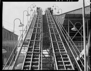 Lemon Exchange -- fruit sorting equipment