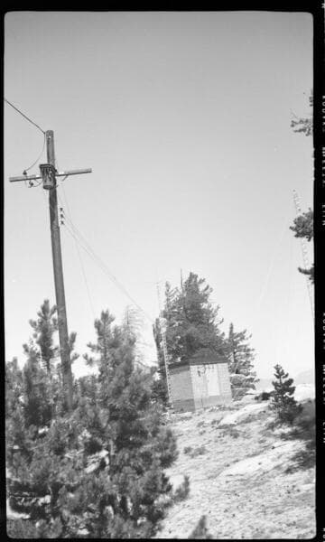 Distribution line through forest