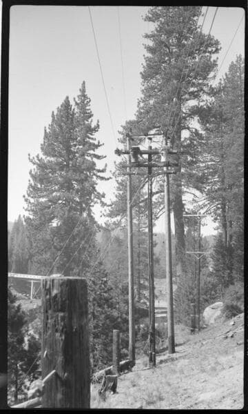 Distribution line through forest