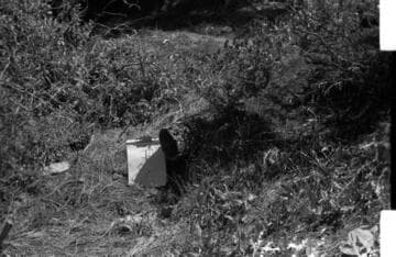 Big Creek, Huntington Lake Dams