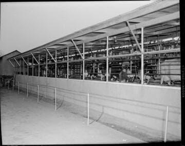Agriculture