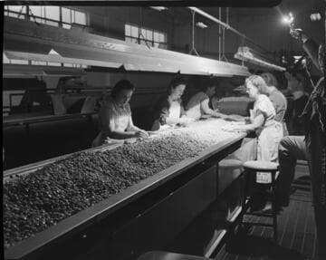 Electrified industry