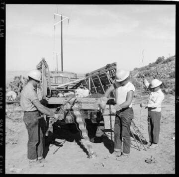 Construction of distribution line