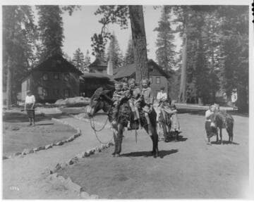 Big Creek children riding on a gentle burro