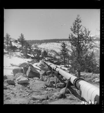 View along Tombstone Creek diversion pipe lines (note