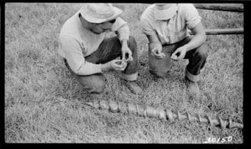 Big Creek, Vermilion Dam