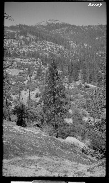 Mammoth Pool