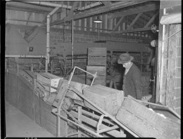 Industrial Miscellaneous - Visalia Packing House