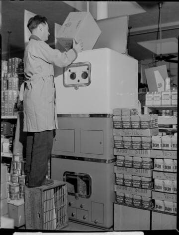 Electric coffee roaster