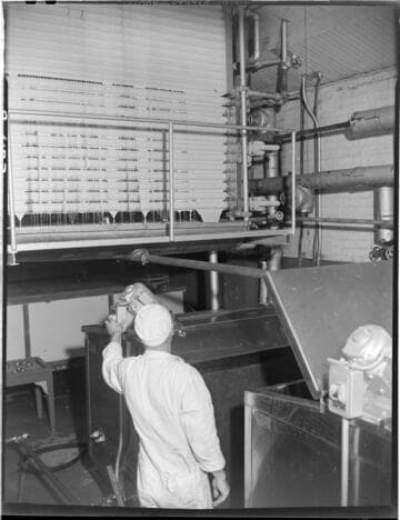 Curries Ice Cream Co