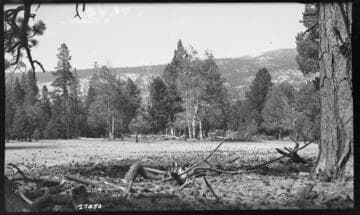 Big Creek General - Hooper Creek