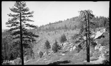 Big Creek, Fish Valley