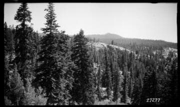Big Creek, Fish Valley