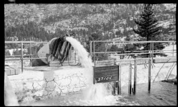 Big Creek General - Hooper Creek