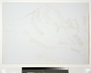 Mountain Landscape with House and Pine Trees